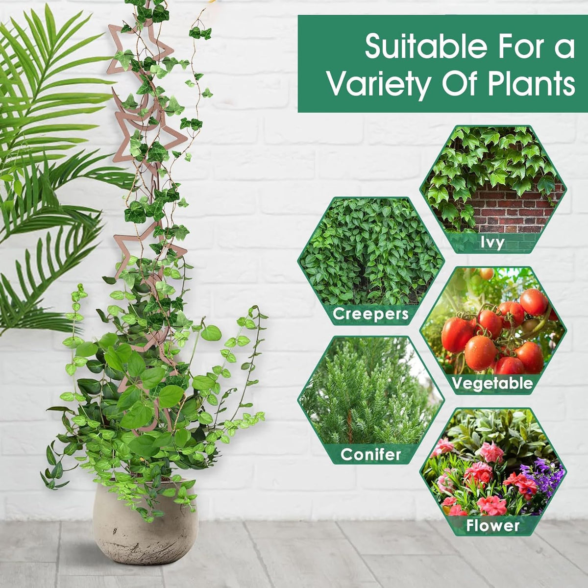 20pcs Chain Trellis for Climbing Plants, HSSZXFR DIY Plant Climber Support for Vines and Garden Wall Trellis, Indoor and Outdoor Accessories for Monstera Pothos Ivy Flower (Star and Moon)