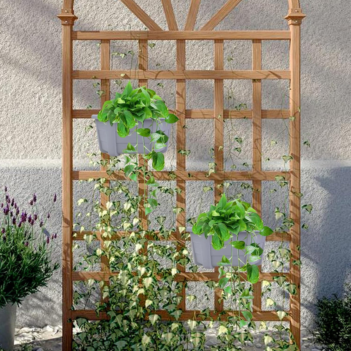 summer flower 3Pcs Hanging Plant Pots,Hanging Flower Pot with Detachable Hooks,9.84" Wall Planters for Balcony Decor Garden Yard(Gray)