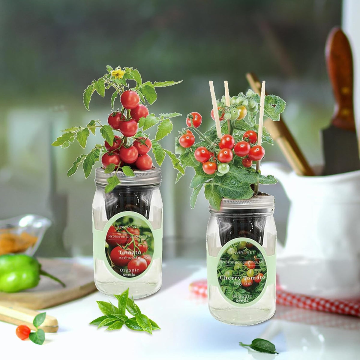 2-Pack Hydroponic Mason Jar Herb Garden Kit, Indoor Herb Garden Self-Watering Starter Kit (Cherry Tomato,Red Robin Tmato)