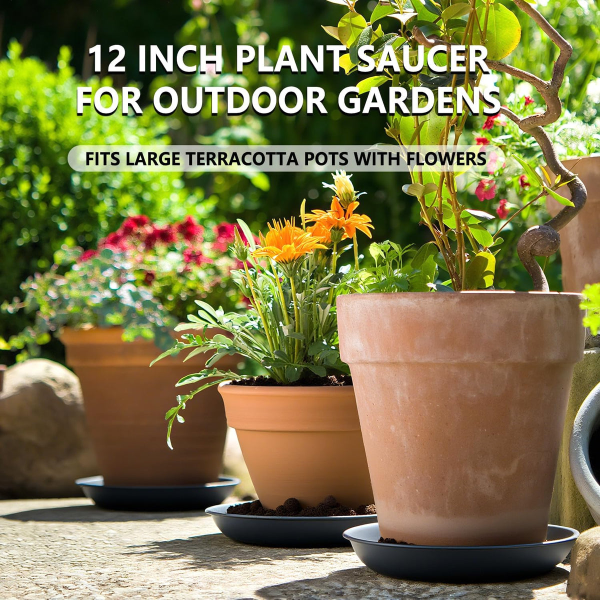 6 Pack 12 Inch Large Gray Plant Saucer Trays, Durable Heavy Duty Plastic PP Planter Bases, Round Water Catcher Plates and Drip Trays for Indoor Outdoor Gardening