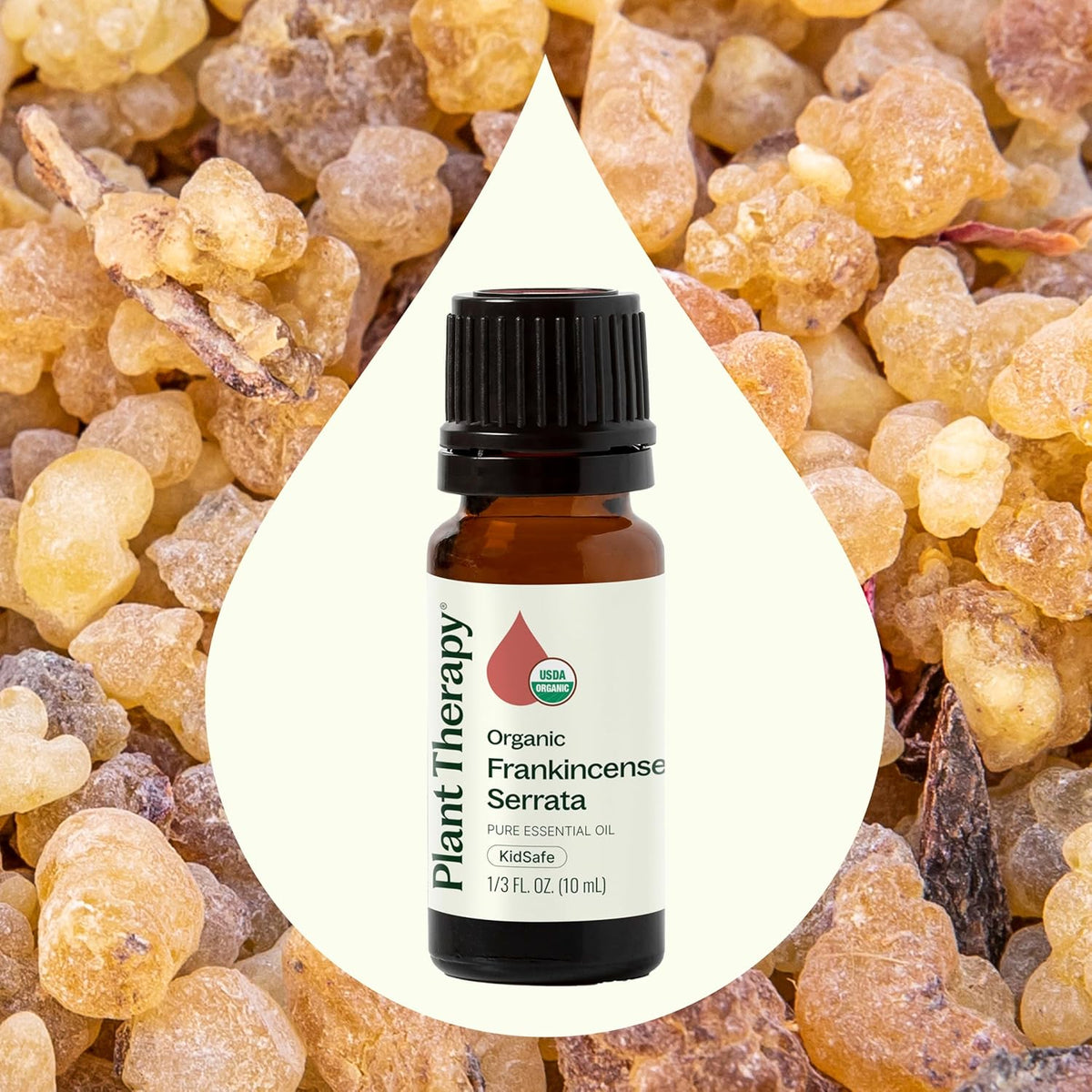 Plant Therapy Organic Frankincense Serrata Essential Oil 100% Pure, USDA Certified Organic, Undiluted, Natural Aromatherapy, Therapeutic Grade 10 mL (1/3 oz)