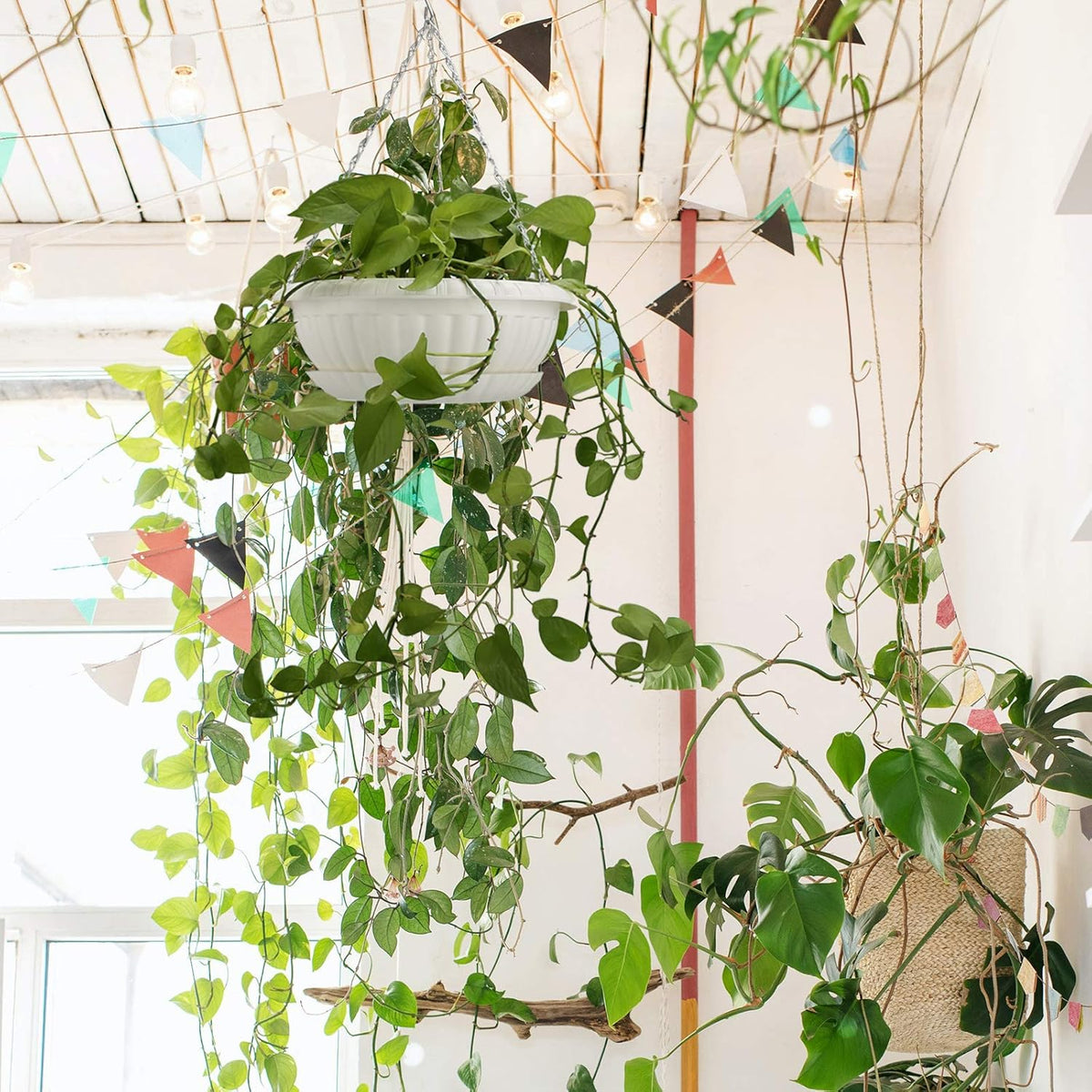 summer flower 12.59" Large Hanging Planters with Drainage Hole&Tray, Hanging Flower Pots Plastic Plant Hanger Holders Hanging Basket for Indoor Outdoor Home Garden Herb Succulent (Pack 3)