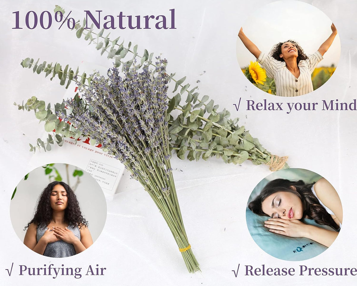 Glicrili 68 PCS Dried Eucalyptus Stems & Lavender Flowers Bundle for Shower,17'' Natural Real Live Eucalyptus Leaves & Aromatic Lavender Shower Plant, Mother's Day, Home Decoration,Fragrance