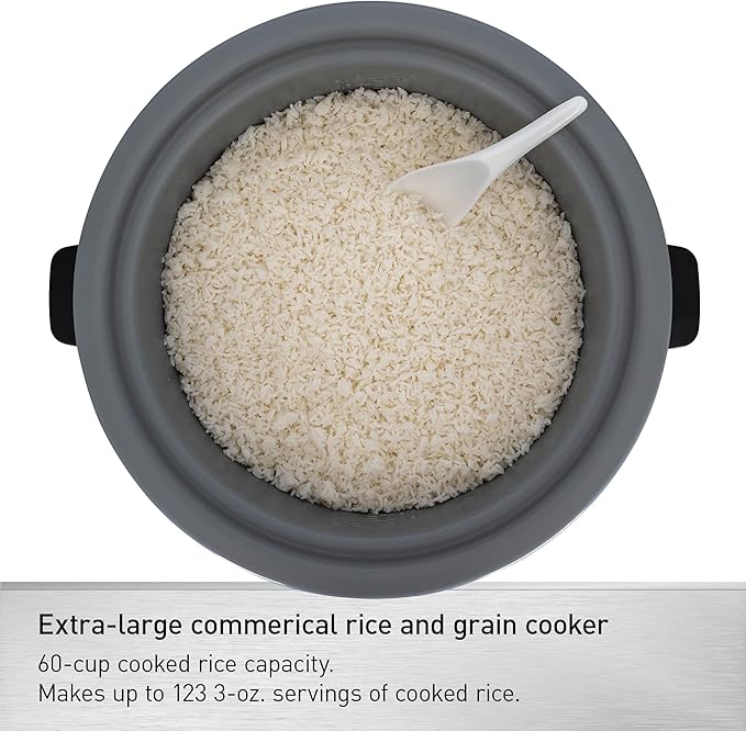 Panasonic Commercial Electric Rice Cooker, 120V Extra-Large Capacity 60-Cup (Cooked), 30-Cup (Uncooked) with One-Touch Operation - SR-GA541FH - Silver