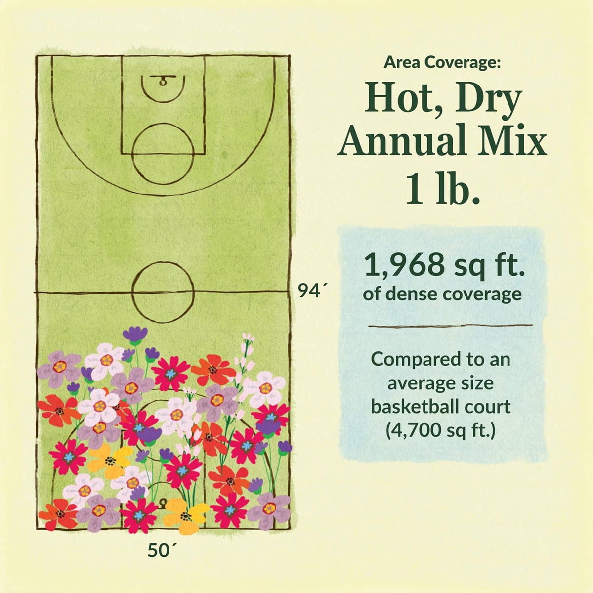 Ferry-Morse Hot, Dry Annual Mix Bulk Wildflower Seeds, 1lb