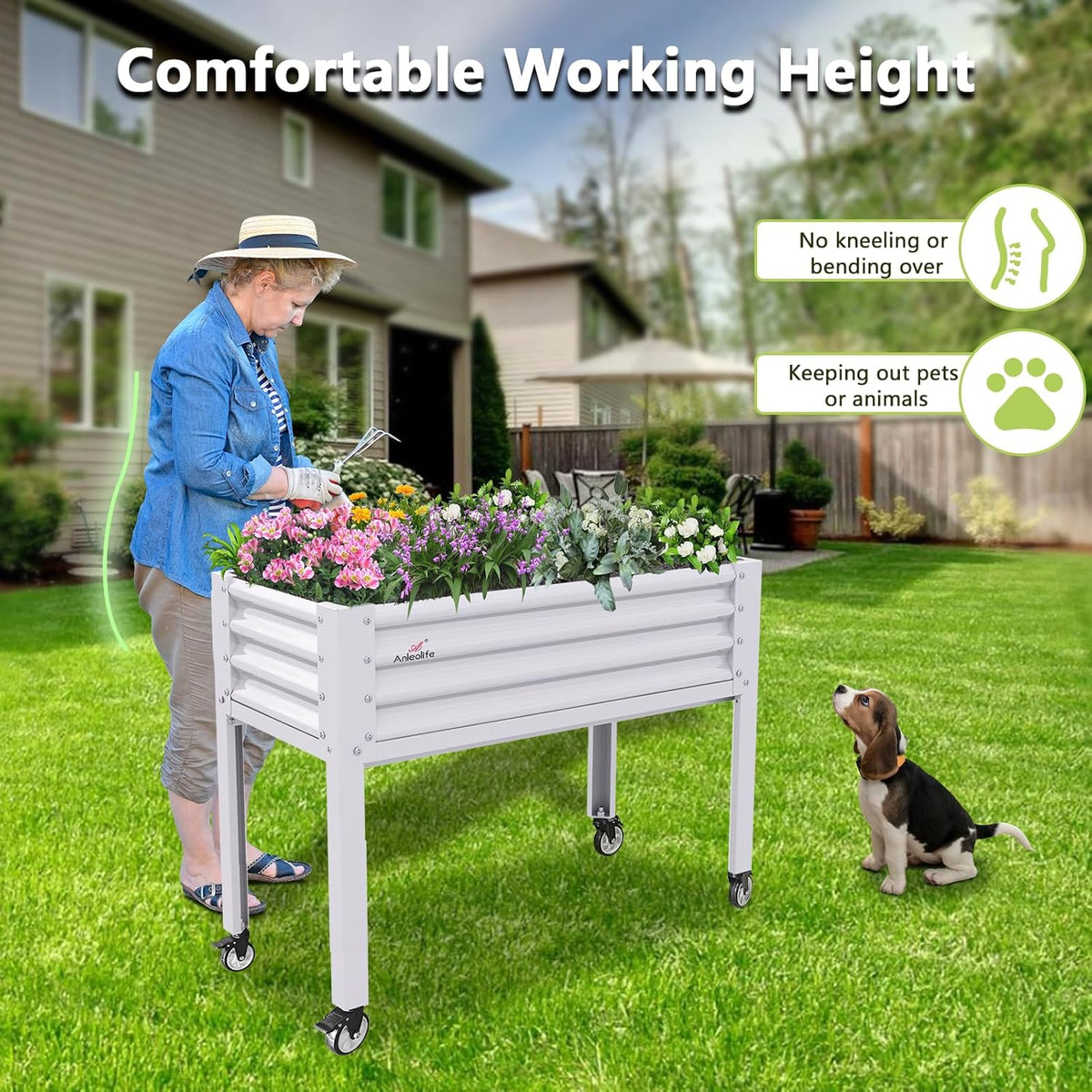 A ANLEOLIFE Galvanized Raised Garden Bed with Legs,48x24x35in Large Elevated Planter Box on Wheels with Drainage Holes for Backyard, Balcony, Patio, 600lb Capacity, Antique White
