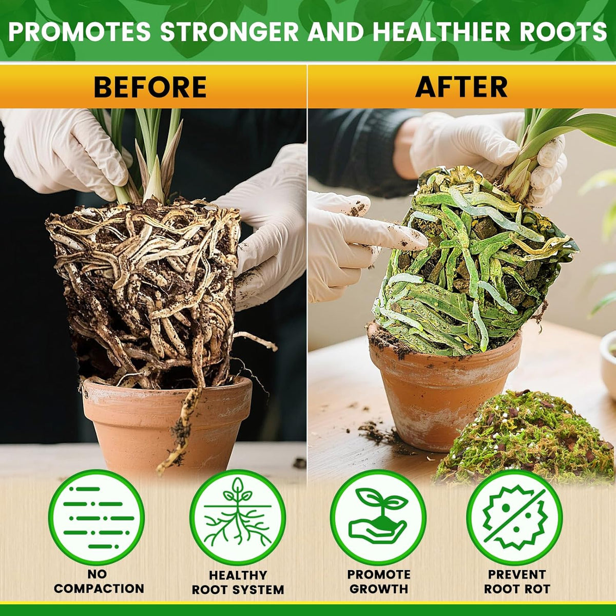 Legigo 4 QT Orchid Potting Mix- Natural Orchid Soil Mix for Repotting with Moss, Pine Bark, Coco Peat and Perlite, Enhanced Drainage Orchid Bark Potting Mix Repotting Kit for Indoor Plant Growth