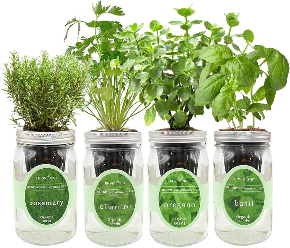 Hydroponic Mason Jar Organic Herb Seed Starter Kits - Mediterranean Herb Mix Growing Kits, Windowsill Herb Garden, Gardening Gift (Rosemary, Cilantro, Oregano, Basil)