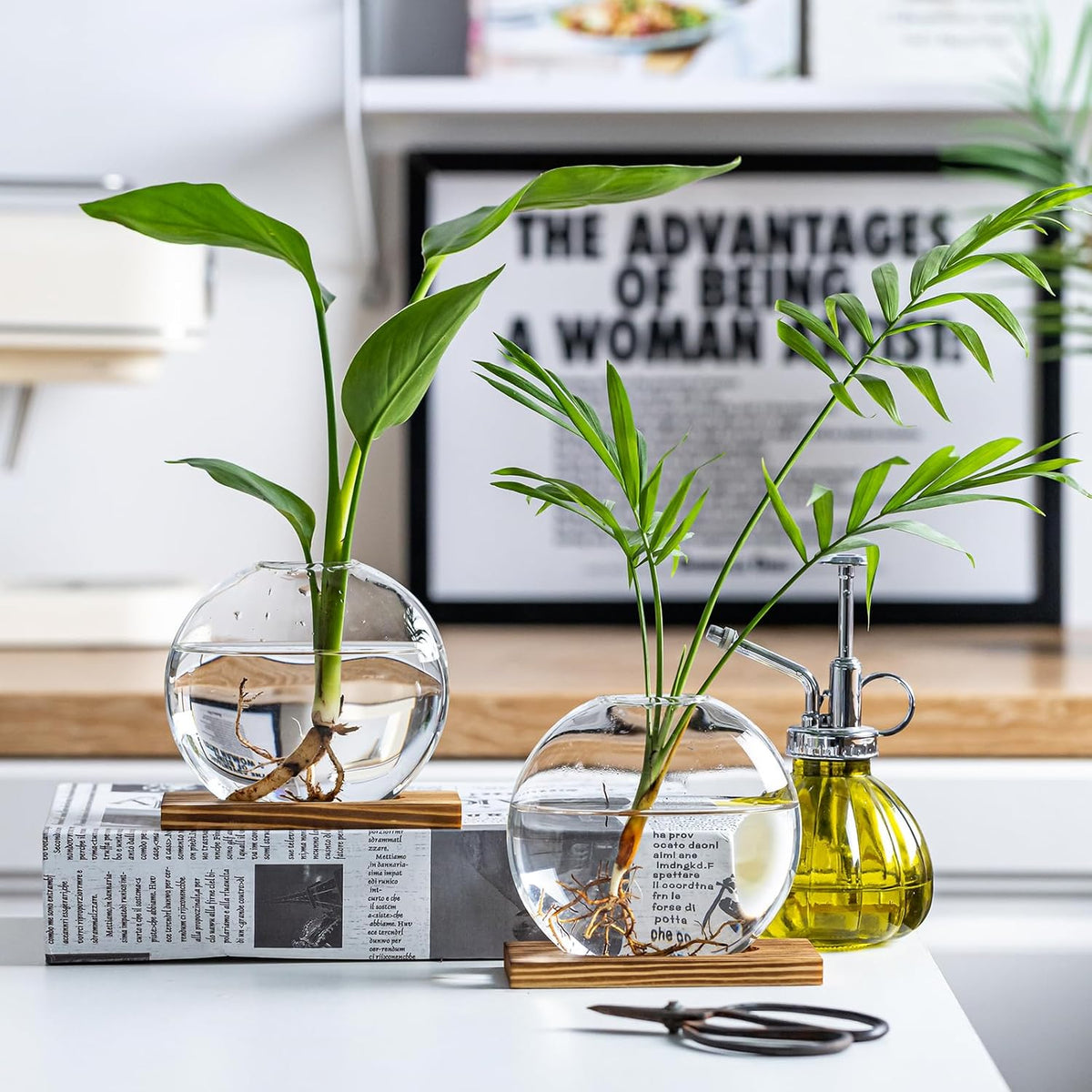 Glass Planter Propagation Station with Wooden Base - Clear Oblate Hydroponic Vase, Decorative Desktop Flower Vase for Home, Office, Windowsill - Gift for Plant Lovers (6)