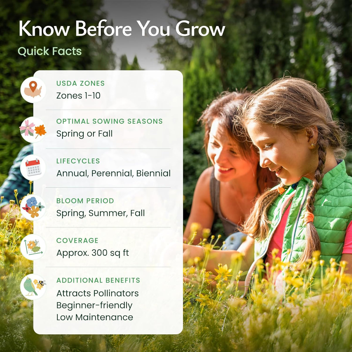 Created By Nature California Wildflower Seed Mix with Poppies, 22 Flower Varieties, 54,000+ Seeds