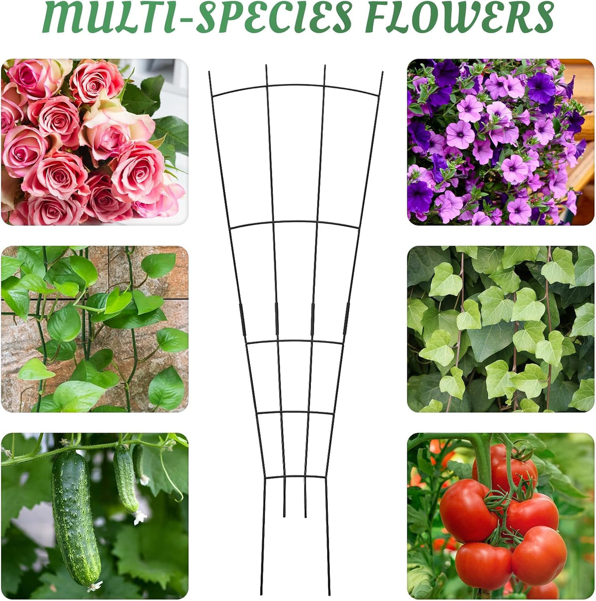 4 Pack 32'' Plant Trellis Indoor - Metal Trellis for Climbing Plants Indoor, Garden Trellis for Climbing Plants Outdoor Houseplants Flowers Vine Ivy, Fan Shape, Black