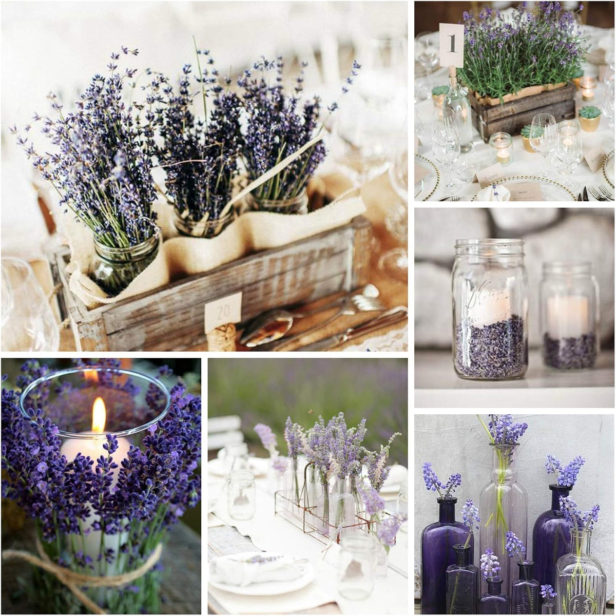 Cedar Space Lavender Dried Flowers 2 Bunches Dried Lavender Ideal Home Fragrance Products for Home Decorations, Wedding, Party, Photography & Flower Arrangements, Total Length 16 Inches