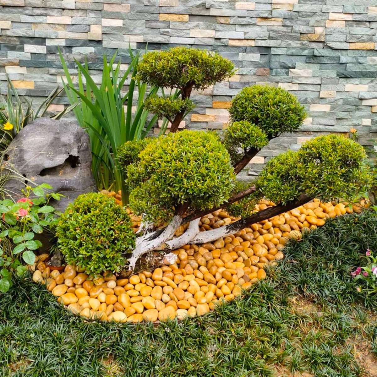 40lbs Yellow River Rocks for Landscaping, 2-3 Inch Natural Pebbles for Indoor Plants, High Polished Decorative Stones Garden Outdoor and Indoor DIY Vase Filler Fish Tank Aquariums