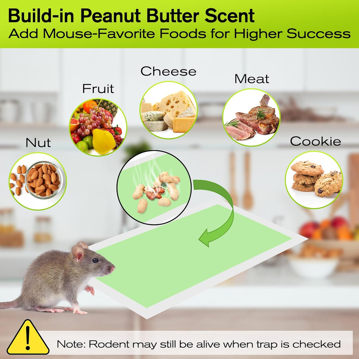 Qualirey 10 Pack Large Sticky Mouse Traps, 11 x 5.3 Inch Non-Toxic Bulk Mice Glue Trap, Rat Glue Boards Indoor Pest Control for Rodent and Insects, Snakes, Cockroaches, Spiders, and Scorpions