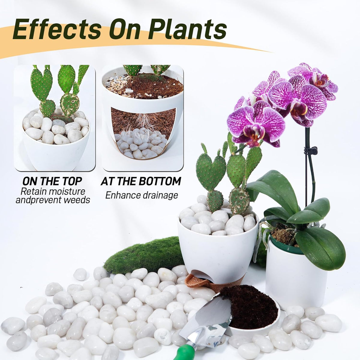 45lbs White River Rocks, 1-2 Inch Natural Pebbles for Indoor Plants, Polished Pebbles for Garden Landscaping Aquariums Vase Fillers and Outdoor Decorative Stones