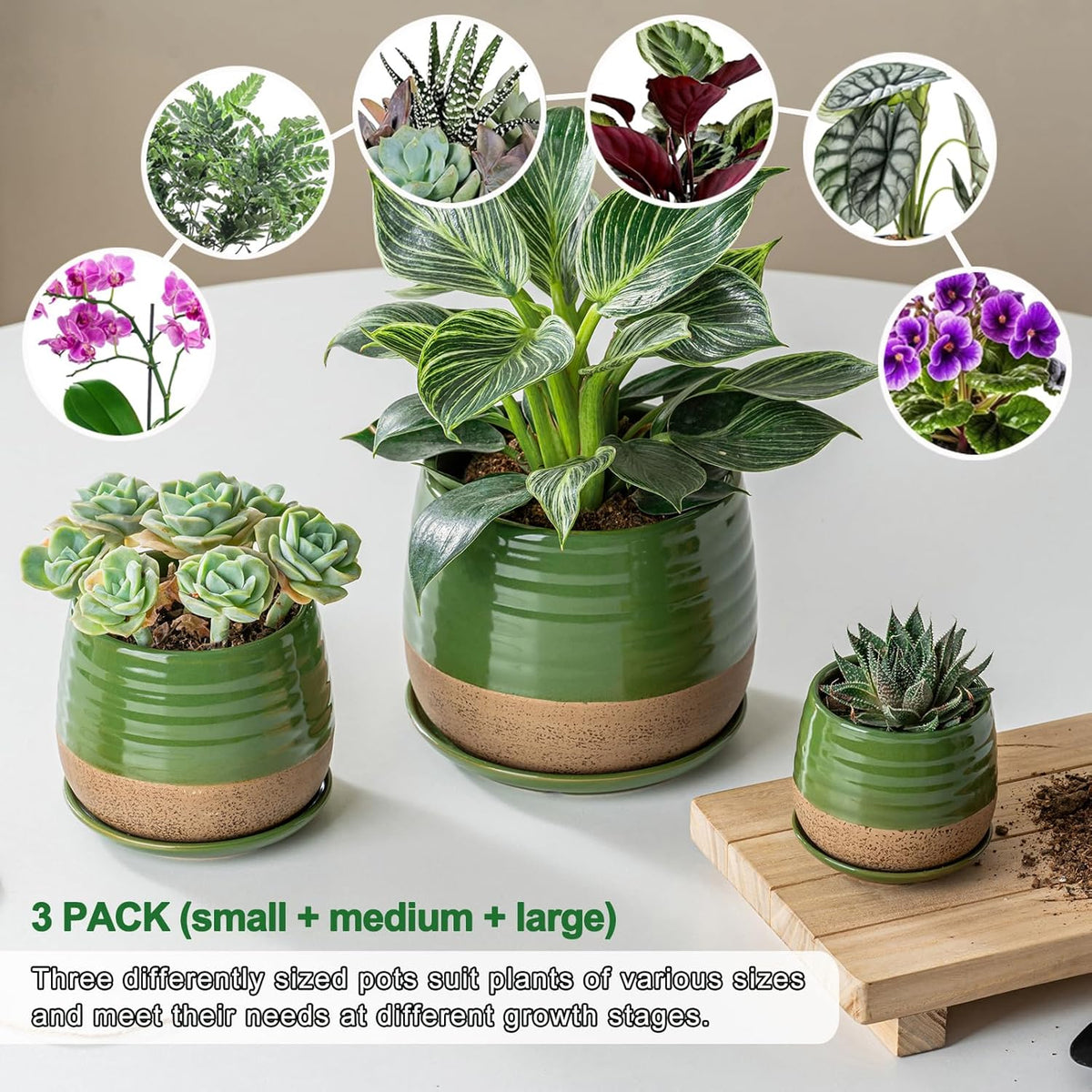 3 Piece Ceramic Small Planter for Indoor Plants - Succulent Plant Pots with Drainage Holes and Saucers - 3.4/4.7/6.1 inch Modern Decorative Small Flower Pots for Bamboo, Succulents and Herbs, Green