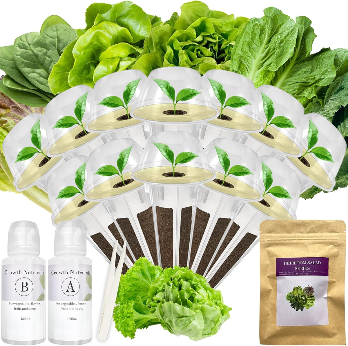 Salad Greens Seed Pod Kit for AeroGarden, iDoo with Red and Green Leaf, Romaine and American Fast, Buttercrunch, Parris Island Lettuce, Spinach - Compatible with All Hydroponics (12-Pod)