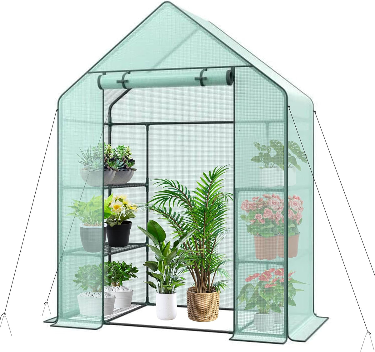 3 Tier 6 Shelves Mini Walk-in Greenhouse, 55.9 x 28.3 x 75.59 inch, Durable PE Cover Green House Kit with Anchors and Ropes, Outdoor Plant Gardening Hot House for Growing Vegetables, Flowers