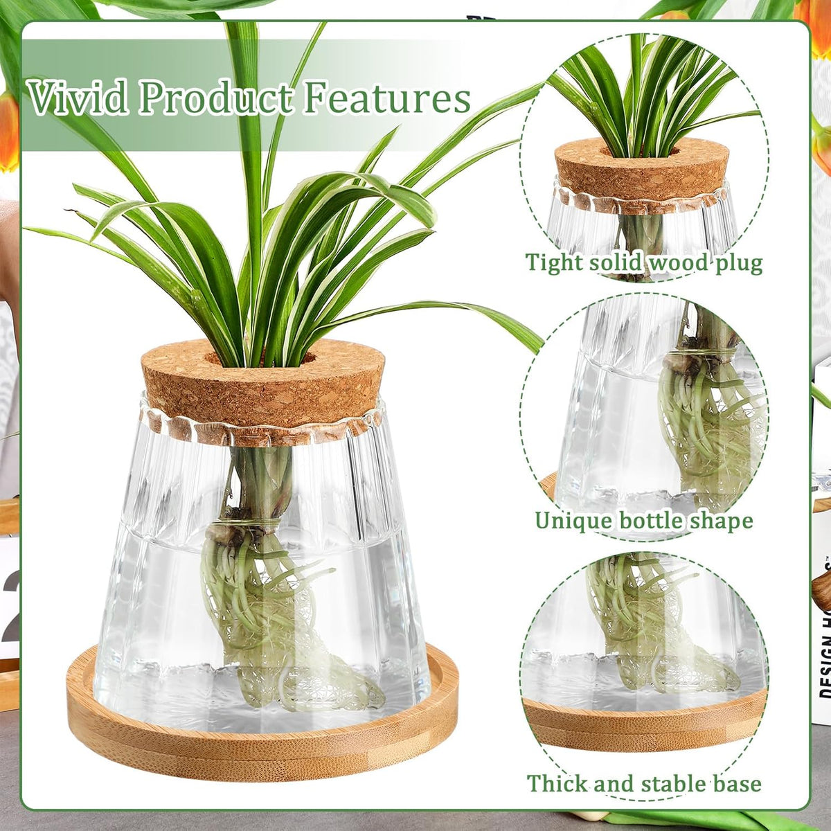 6 Pcs Plants Propagation Station Separated Desktop Plant Terrarium with Wood Lid and Stand, 3 Sizes Glass Planter Propagated Jars Propagation Vases for Indoor Home (Cute Style)