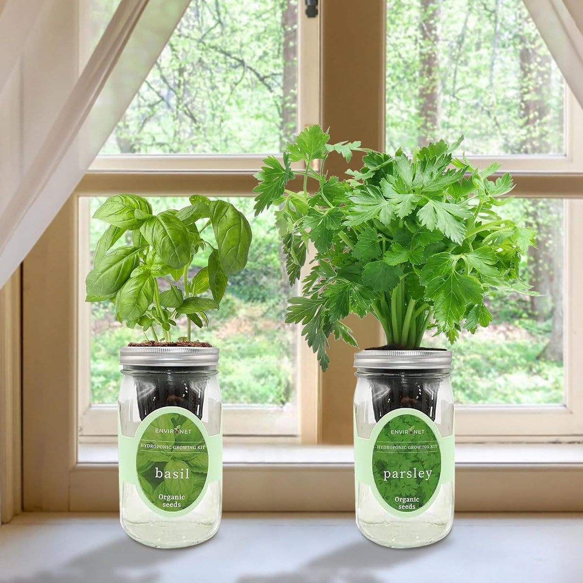 2-Pack Hydroponic Mason Jar Herb Garden Kit, Indoor Herb Garden Self-Watering Starter Kit (Basil, Parsley)