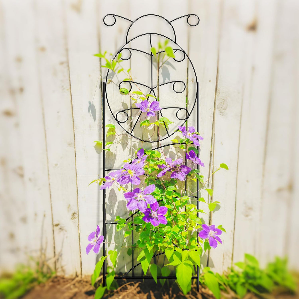 ARIFARO Garden Trellis 56″ H x16″ W (Pack of 4) Metal Climbing Plant Trellis Outdoor/Indoor Sturdy Flower Trellis for Climbing Vines, Rose, Potted Plants