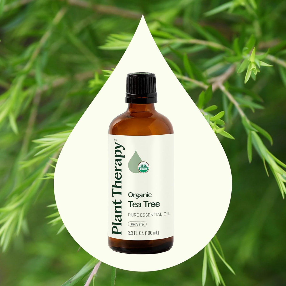 Plant Therapy Organic Tea Tree Oil (Melaleuca) 100% Pure, USDA Certified Organic, Undiluted, Natural Aromatherapy, Therapeutic Grade 100 mL (3.3 oz)