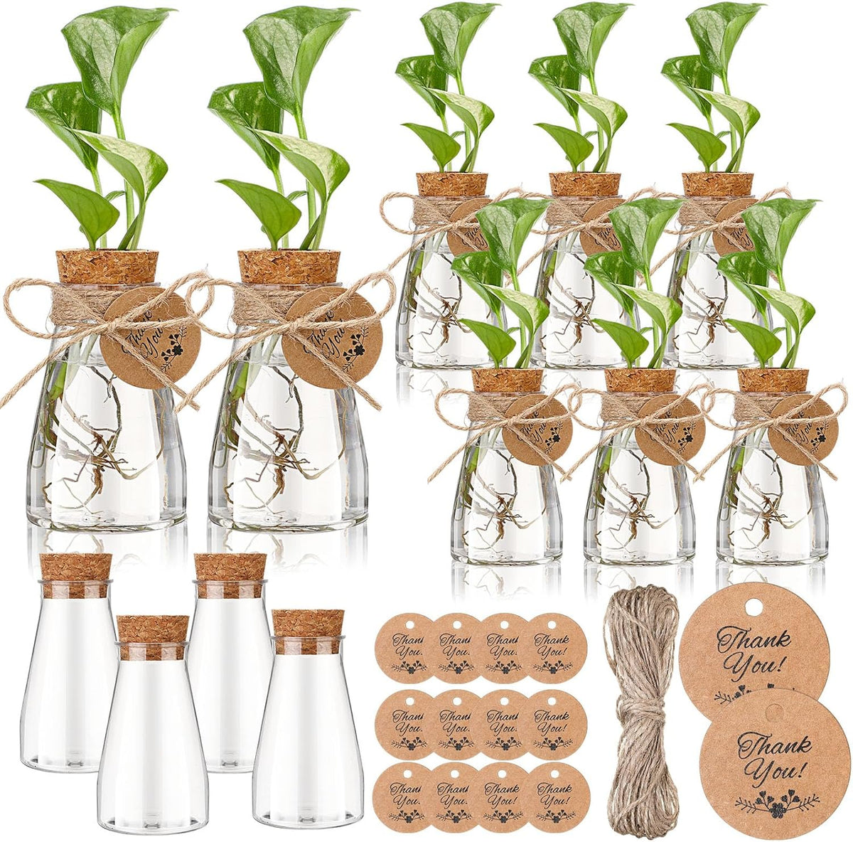 Baderke 3.35'' Plastic Plant Propagation Stations with Hole Lid Planter Vase Clear Propagation Jars with Thank You Tags for Plant Lover Gifts for Women Office Home Garden(12 Pack,Cute)