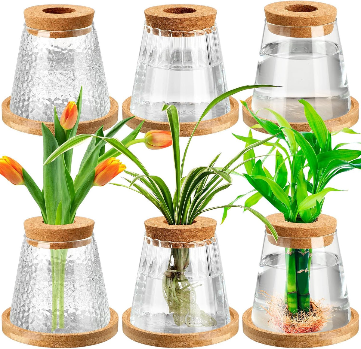 6 Pcs Plants Propagation Station Separated Desktop Plant Terrarium with Wood Lid and Stand, 3 Sizes Glass Planter Propagated Jars Propagation Vases for Indoor Home (Cute Style)