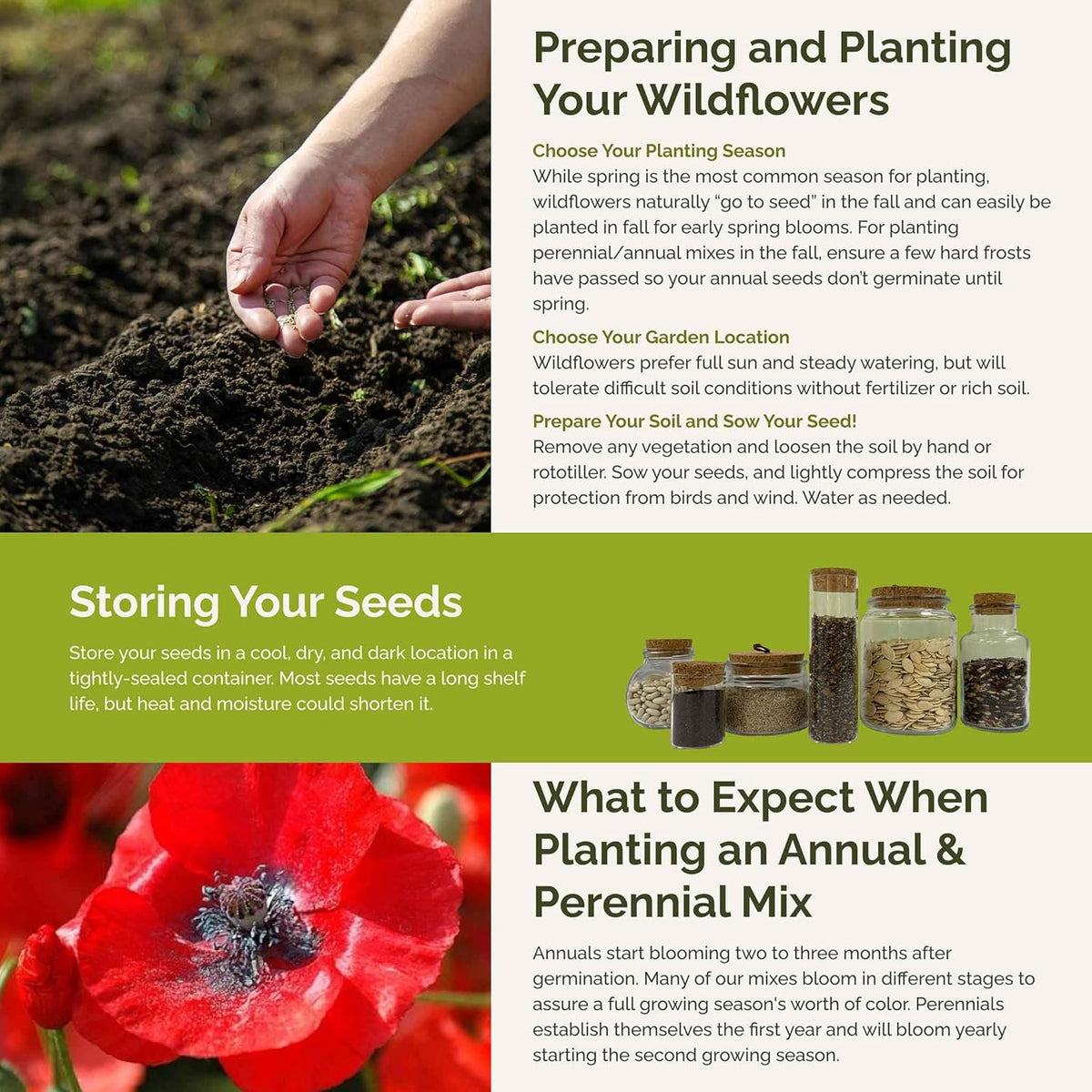 Eden Brothers Poppy Power Flower Mixed Seeds for Planting, 10 lb, 4,800,000+ Seeds with Red Corn, Iceland, California Poppy, Attracts Pollinators, Plant in Spring or Fall, Zone 3, 4, 5, 6, 7, 8, 9, 10