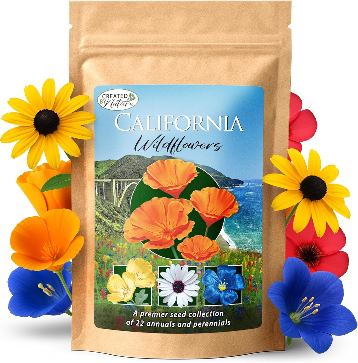 Created By Nature California Wildflower Seed Mix with Poppies, 22 Flower Varieties, 54,000+ Seeds