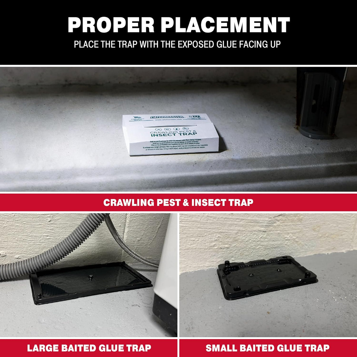 Catchmaster Glue Trap Variety Pack - 2 Mouse Trays, 2 Rat Trays, 4 Insect Glue Traps, Pet Safe Mouse Traps Indoor for Home, Pest Protection Kit for Basement & Garage, Rodent & Insect Pest Control