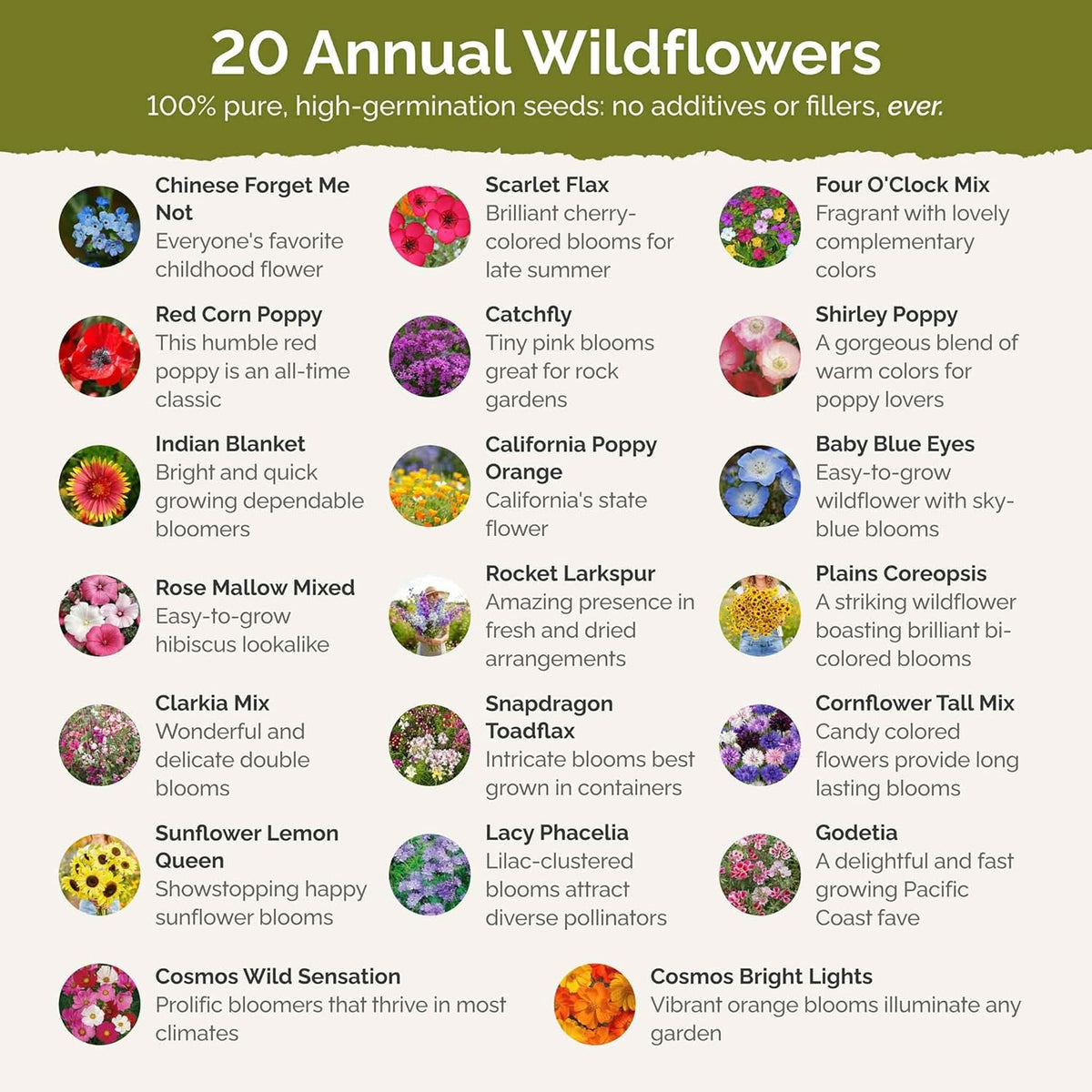 Eden Brothers All Annual Wildflower Mixed Seeds for Planting, 50 lb, 24,000,000+ Seeds with Sunflower, Indian Blanket | Attracts Pollinators, Plant in Spring or Fall, Zones 3, 4, 5, 6, 7, 8, 9, 10