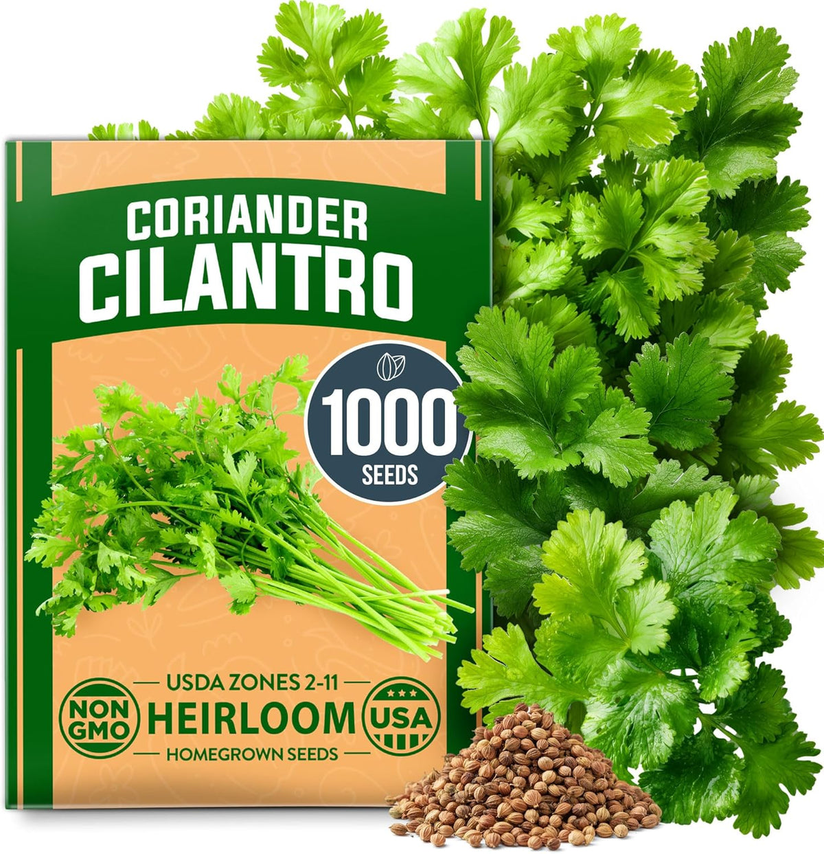 HOME GROWN 𝗨𝗦𝗔 𝗣𝗥𝗘𝗠𝗜𝗨𝗠 1000+ Cilantro Seeds for Planting Indoors or Outdoors - Non-GMO Heirloom Herbs, Coriander Plant Seeds - Complete Your Herb Seeds Collection for Your Indoor Herb Garden