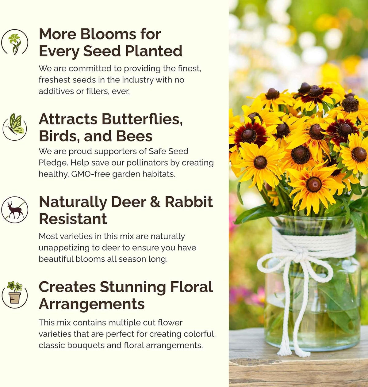 Eden Brothers Daisy Crazy Flower Mixed Seeds for Planting, 5 lb, 2,400,000+ Seeds with Creeping, Painted, Yellow Daisy | Attracts Pollinators, Plant in Spring or Fall, Zones 3, 4, 5, 6, 7, 8, 9, 10