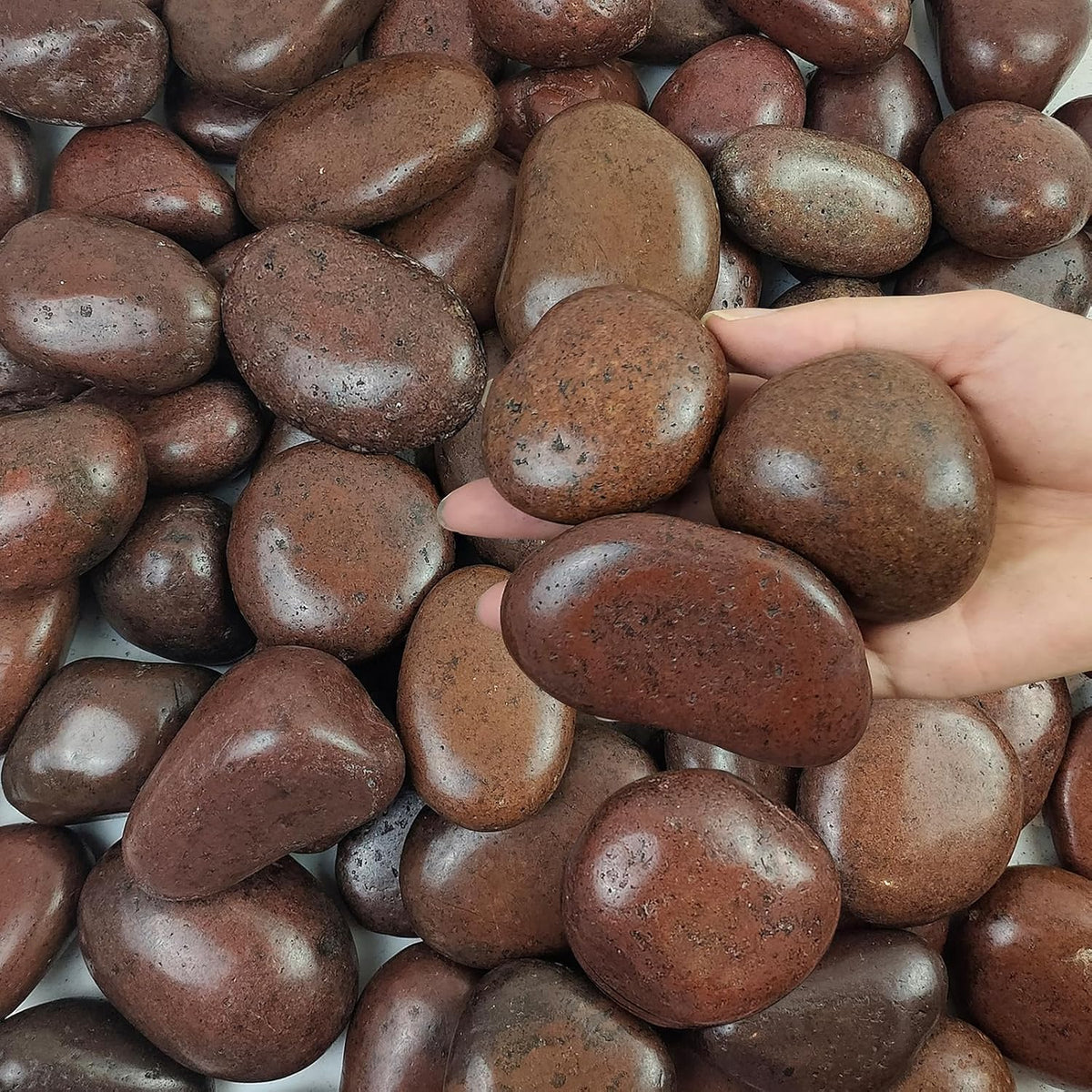 10 lbs Red River Rocks, 2-3 Inch Polished Pebbles for Indoor Plants, Decorative Rocks Stones for Landscaping, Vases, Aquariums, Fountains, Pathways, Backyard and Garden