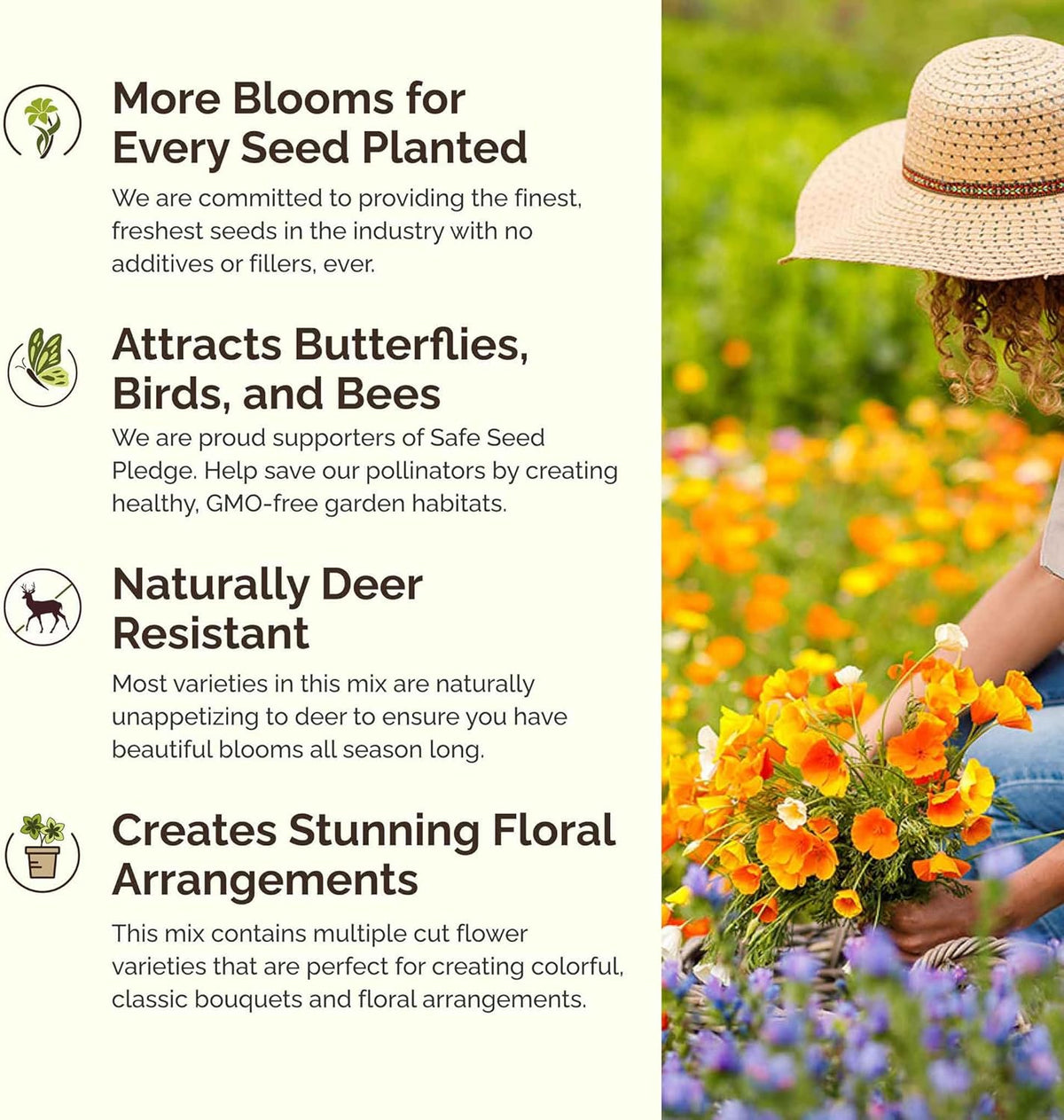 Eden Brothers Dry Area Wildflower Mixed Seeds for Planting, 25 lb, 12,000,000+ Seeds with Cosmos, African Daisy, Blue Flax, Attracts Pollinators, Plant in Spring or Fall, Zones 3, 4, 5, 6, 7, 8, 9, 10