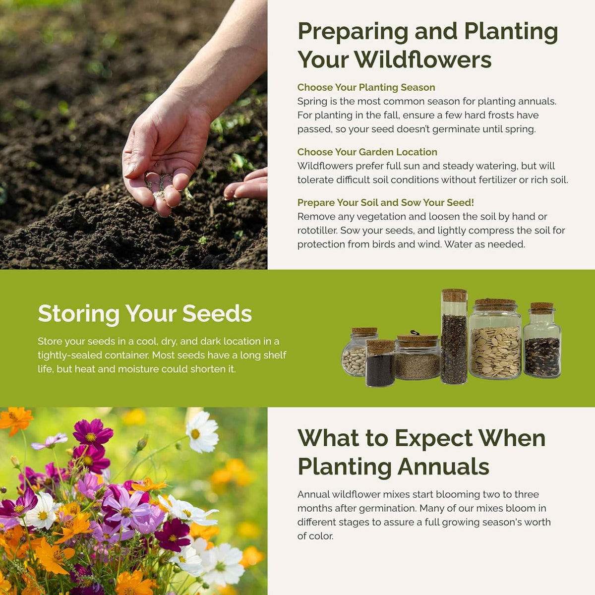 Eden Brothers All Annual Wildflower Mixed Seeds for Planting, 50 lb, 24,000,000+ Seeds with Sunflower, Indian Blanket | Attracts Pollinators, Plant in Spring or Fall, Zones 3, 4, 5, 6, 7, 8, 9, 10