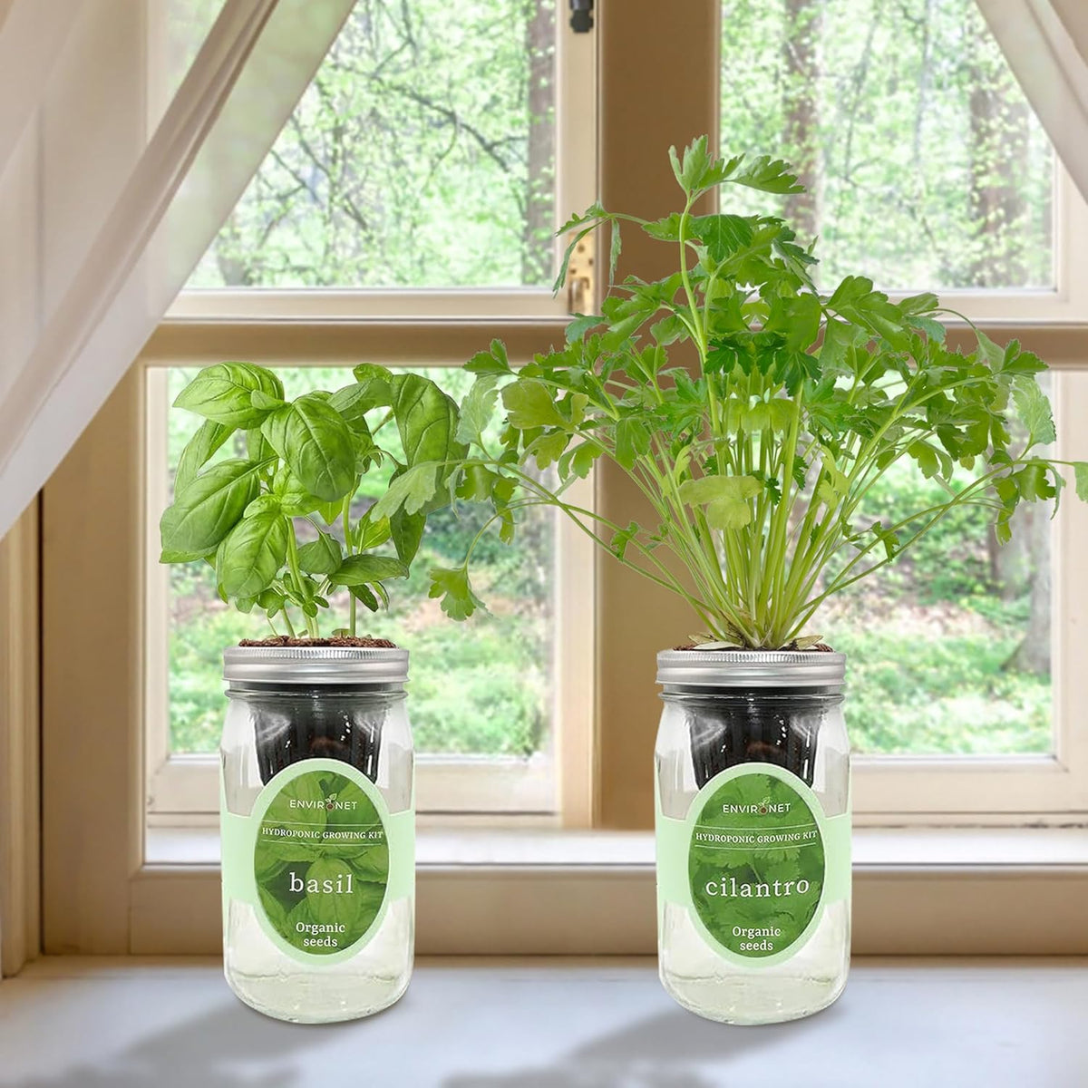 2-Pack Hydroponic Mason Jar Herb Garden Kit, Indoor Herb Garden Self-Watering Starter Kit (Basil,Cilantro)