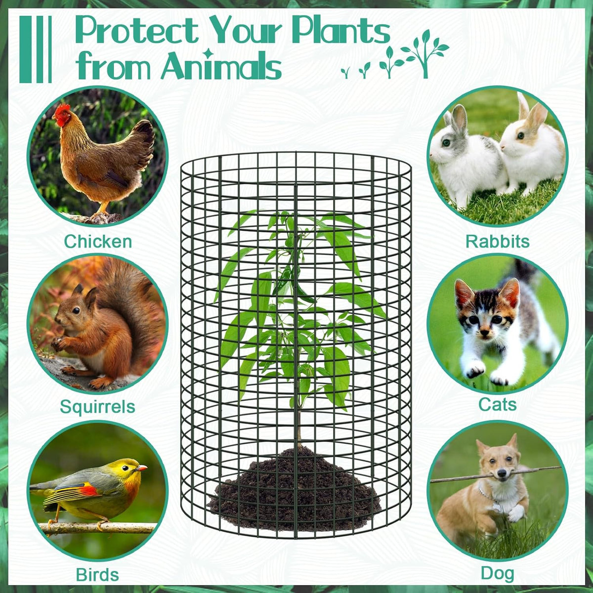 10 Packs 24"x 12" Large Wire Plant Protectors Wire Plant Cages Mesh Plant Cage Chicken Wire Cloche with Ground Stakes and Nylon Ties Protect Plants,Garden,Shrubs and Vegetables from Animals-30PCS