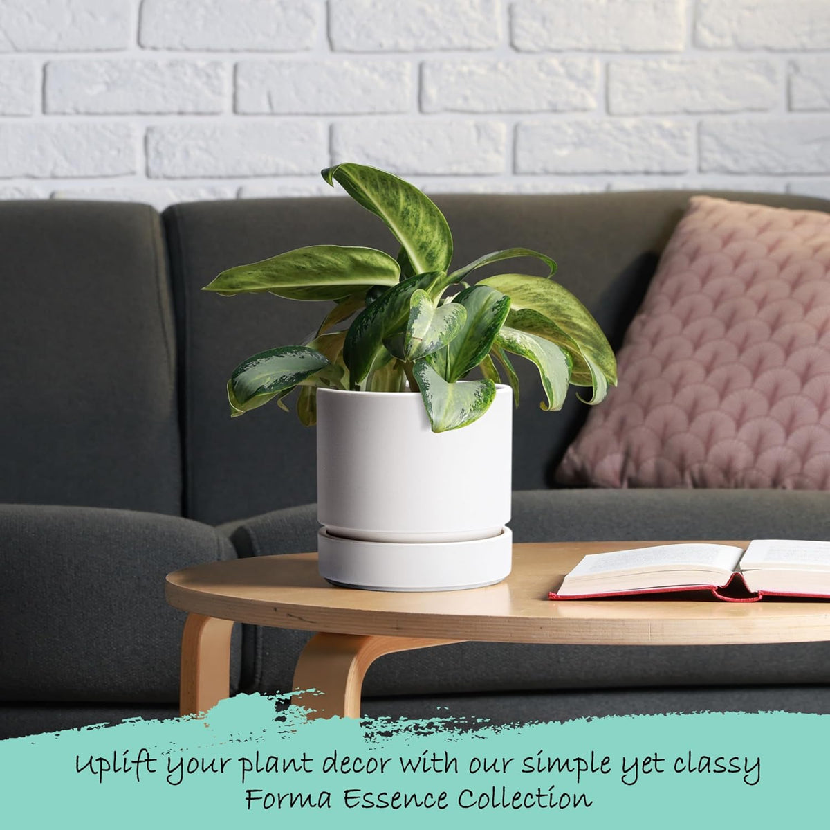 Phoenix Vine 6 Inch Planter Pot with Drainage Hole & Saucer, Deep Water Catch Tray, Straight Cylindrical Round Pot for Plants, Matte White, Pack of 4, 23-B-S-4