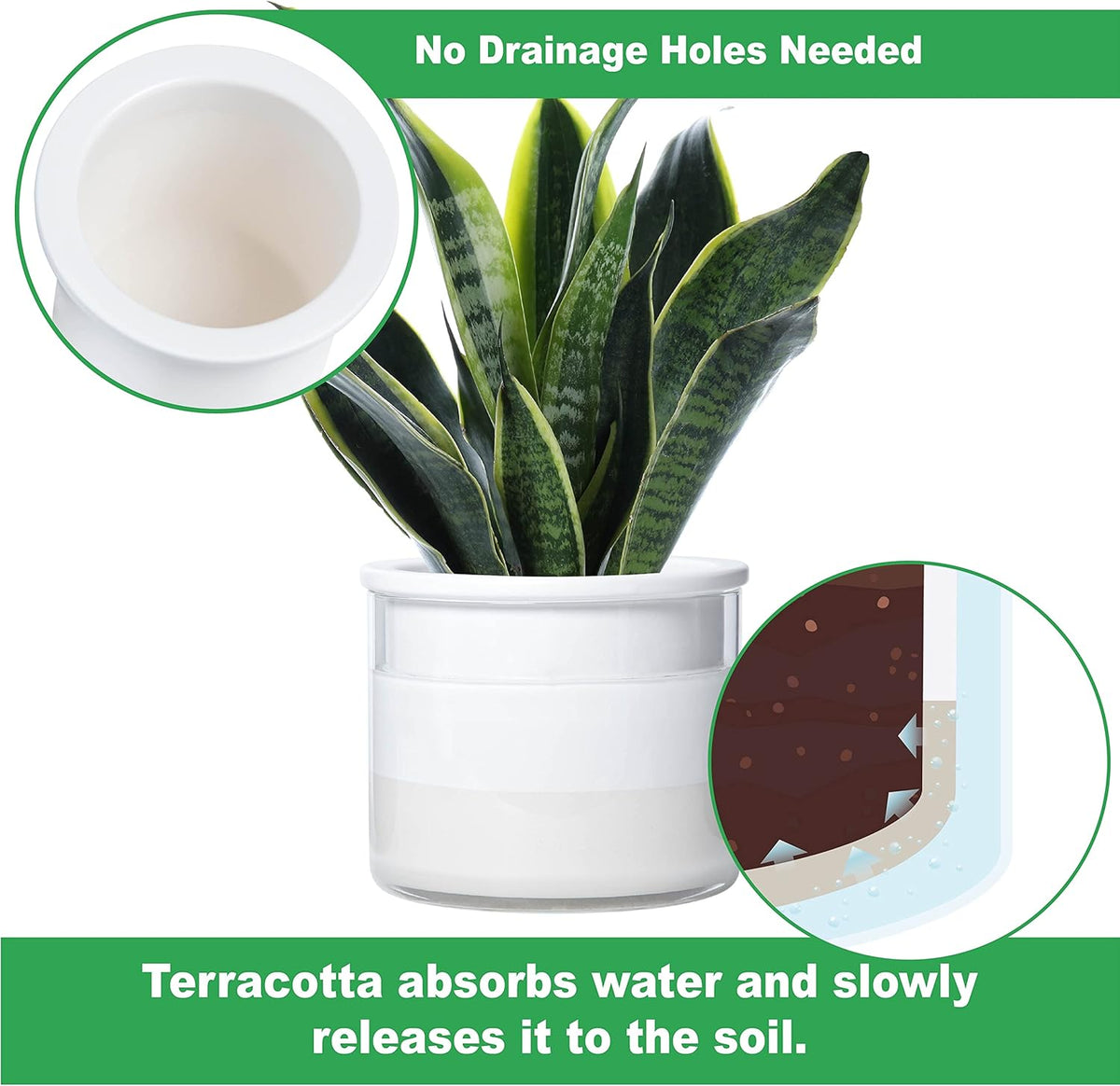 Phoenix Vine 6 Inch Self Watering Planter Pot, Design White Terracotta Pot for Plants, Indoor Cylinder Terra Cotta Pot with Glass Vase, Set of 1, 51-B-F-1