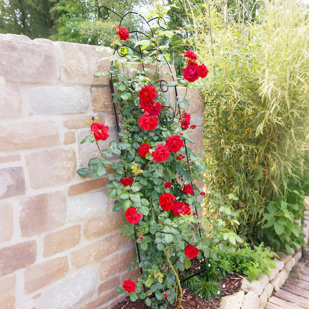 ARIFARO Garden Trellis 56″ H x16″ W (Pack of 4) Metal Climbing Plant Trellis Outdoor/Indoor Sturdy Flower Trellis for Climbing Vines, Rose, Potted Plants