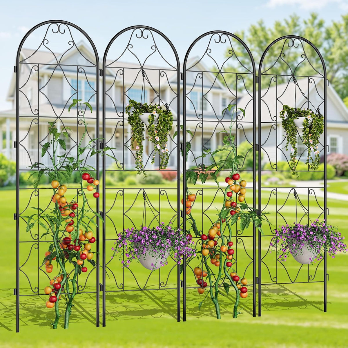 Garden Trellis 4 PCS - Tall 75 Inch x 20 Inch Metal Trellis for Climbing Plants & Vegetables | Rustproof Black Powder Coated Outdoor Plant Support | Patio Decor for Vines, Roses, Cucumbers, Tomatoes