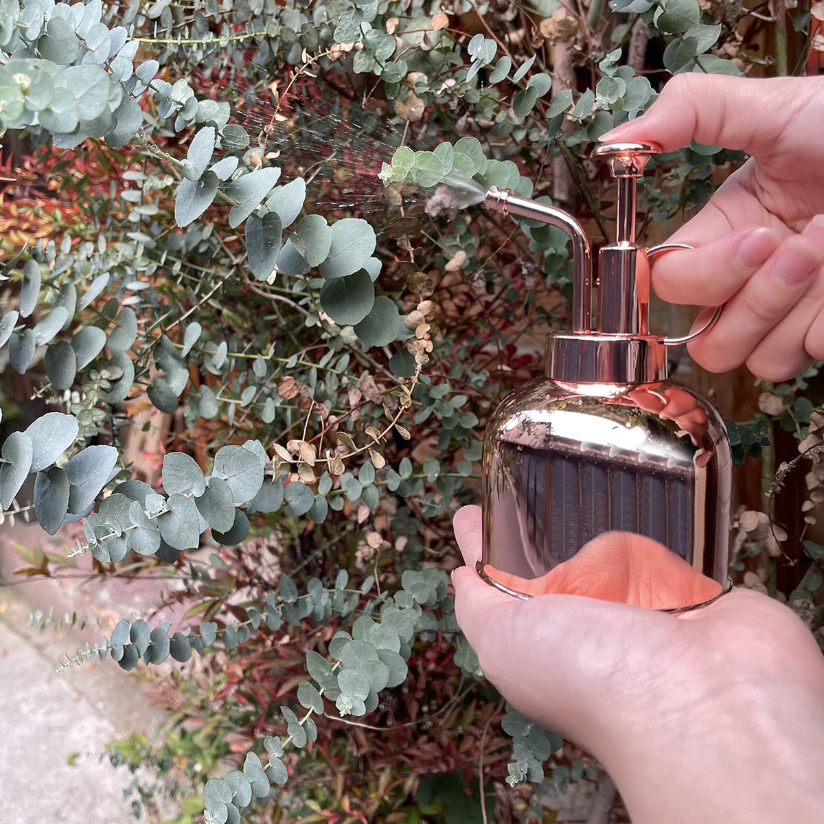 Stainless Steel Plant Mister Spray Bottle Watering Can for Indoor Plants Succulent Bonsai Garden Spray Houseplant Spritzer Modern Garden Tools 10oz/300ml (ROSE GOLD)