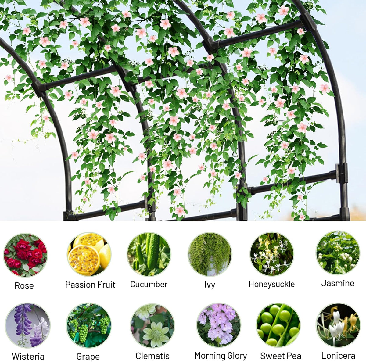 Twira Half Side Garden Arch Trellis, 7.9FT Metal Garden Arbor Trellis for Climbing Plants Outdoor, Black Half Arch Wedding, Garden Archway Arbors and Trellises Decoration for Lawn, Patio, Backyard