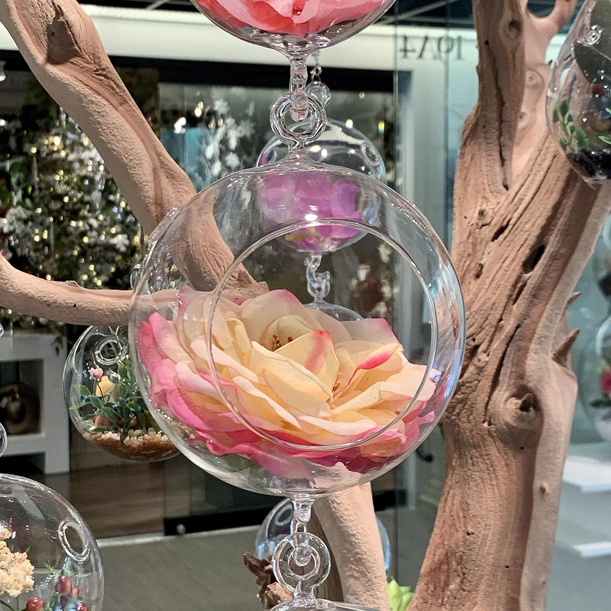 WGV Hanging Terrarium Globe, Width 5", Height 7", Double Hook, DIY Air Succulent Planter, Clear Glass Vase Orb, Candle Holder for Windowsill Outdoor Garden Decor, 1 Piece