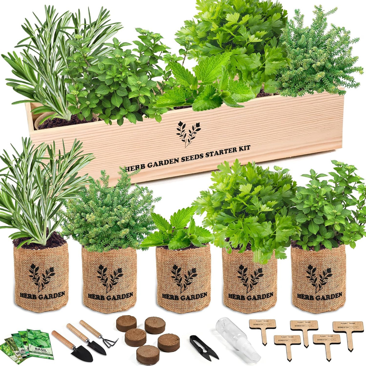 Indoor Herb Garden Starter Kit, 5 Seeds Growing into Basil, Parsley, Rosemary, Thyme, Mint, Including A Wooden Box, Soil Discs & Planters with A Gift Box, Ideal Christmas Gifts for Women