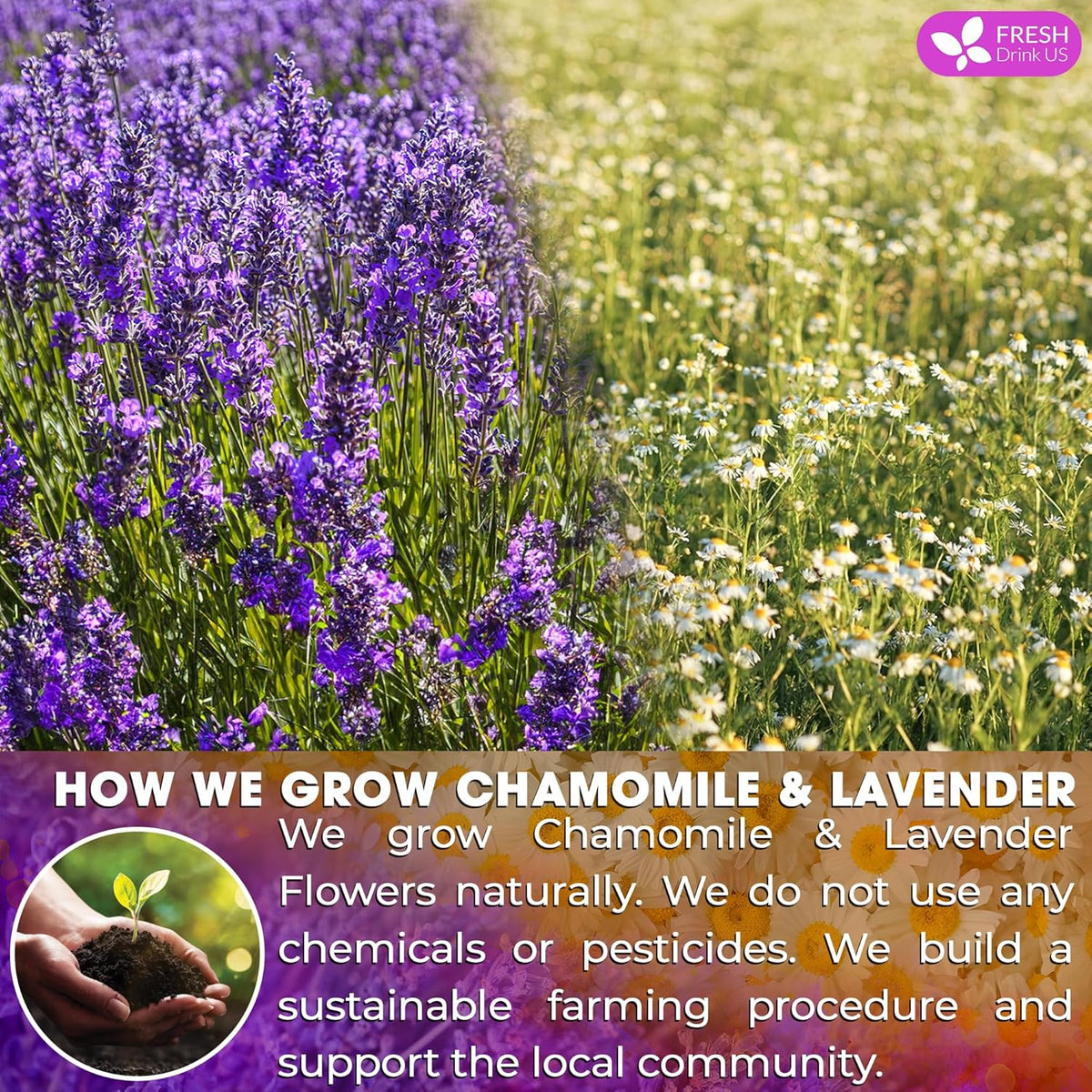 FreshDrinkUS, Premium 60 Chamomile Lavender Tea Bags, Calming Herbal Blend Strong Support for Relaxation & Better Sleep | Naturally Caffeine-Free Bedtime Tea with Soothing Floral Aroma, 100% Natural, Hand-made No Sugar/ Caffeine/ Gluten, Vegan