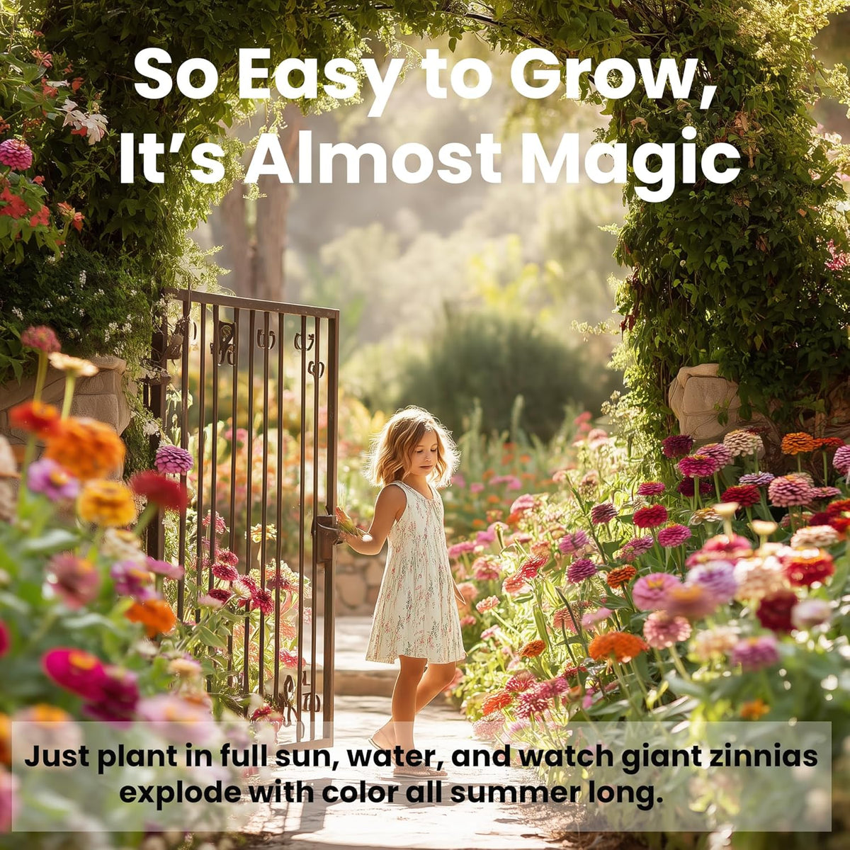 NatureZ Edge Zinnia Seeds for 2025 Planting Outdoors, Over 16,500 Flower Seeds, 1/4 lb, Non GMO Made in USA, Bulk Semillas De Flores para Sembrar, California Giants, Easy to Grow Zinnia Seed Mix