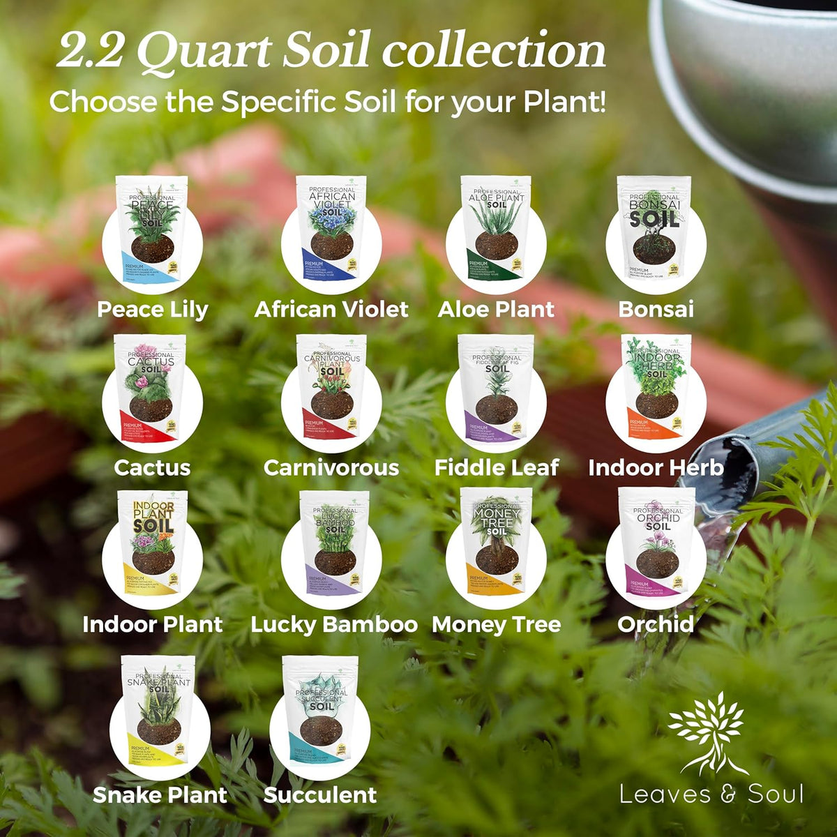 Professional Cactus Soil | Large 2.2 Quarts Ready to Use for Cactus Plants | Peat Moss, Coco Coir, Perlite, Dolomite | Made in USA